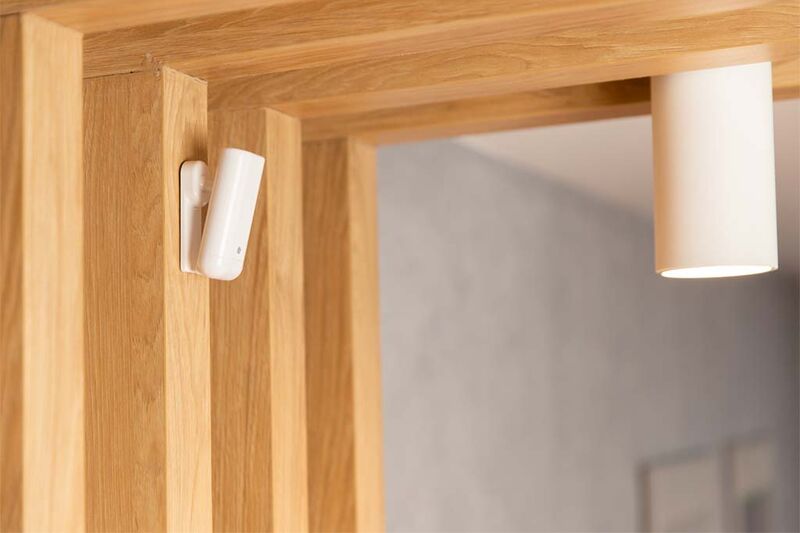 Файл:Shelly Motion 2.png