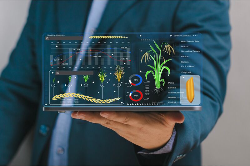Файл:Farming Case Study.jpg