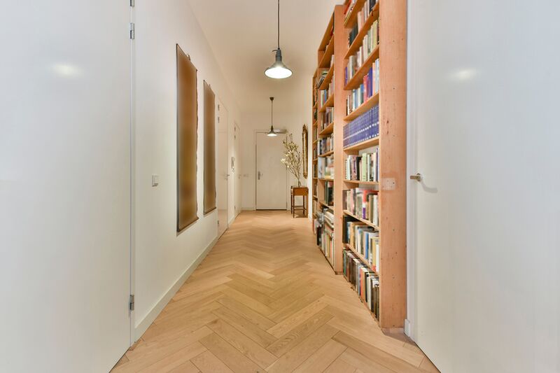 Файл:Shutterstock 1979052719 1024x682.jpg